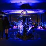 藻岩山 さっぽろ夜景プロジェクト