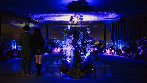 藻岩山 さっぽろ夜景プロジェクト